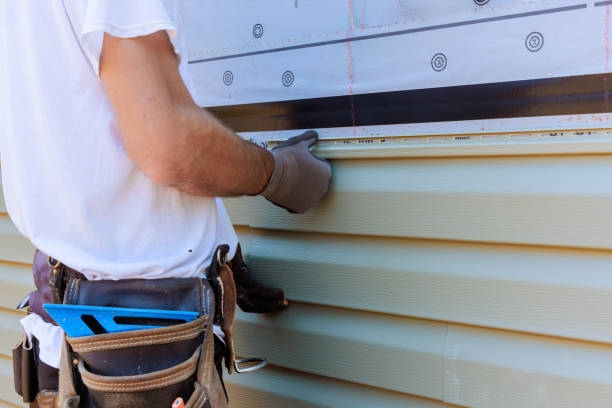 Best Vinyl Siding Installation  in Arabi, LA